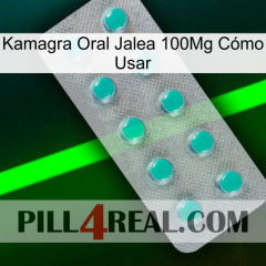 Kamagra Oral Jalea 100Mg Cómo Usar 28